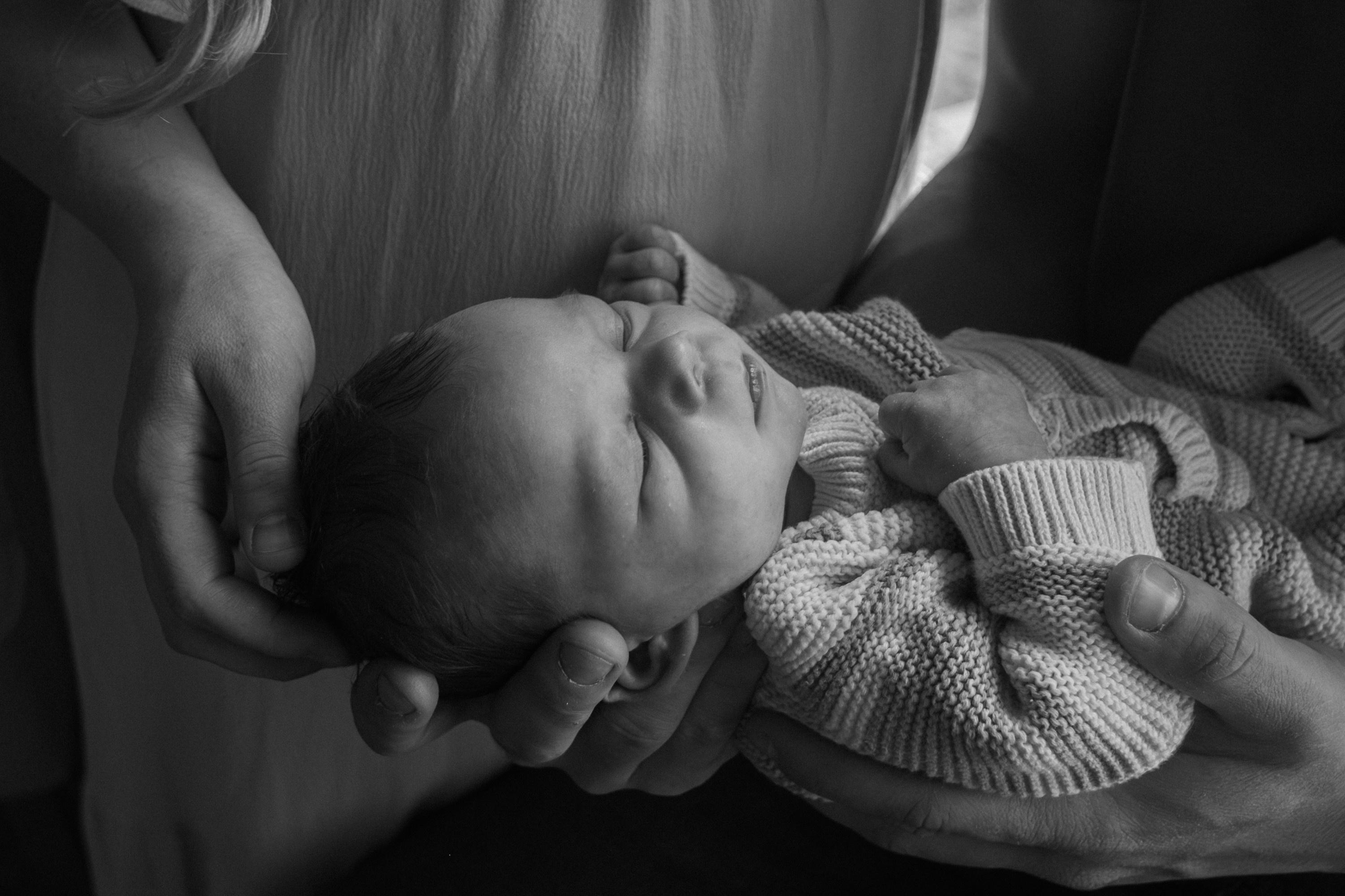 carousel-hero-element image-3