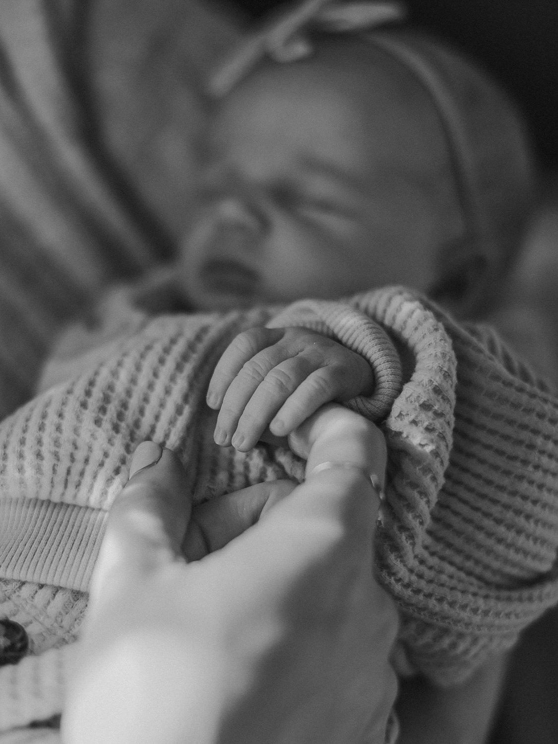 carousel-hero-element image-15